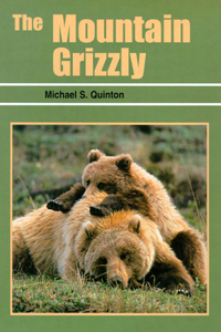 Mountain Grizzly