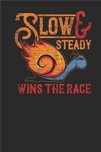 Slow And Steady Wins The Race