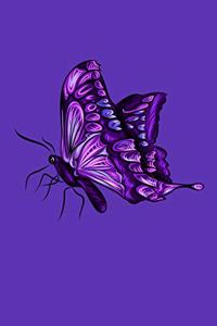 Butterfly Notebook