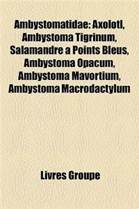 Ambystomatidae: Axolotl, Ambystoma Tigrinum, Salamandre a Points Bleus, Ambystoma Opacum, Ambystoma Mavortium, Ambystoma Macrodactylum