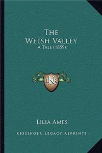 Welsh Valley