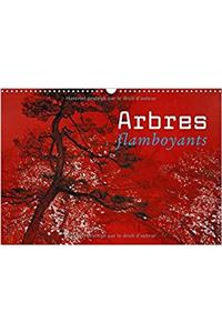 Arbres Flamboyants 2017
