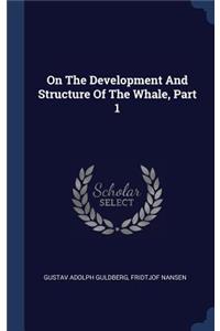 On The Development And Structure Of The Whale, Part 1