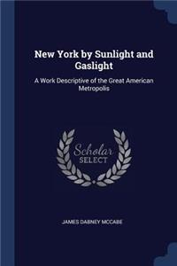 New York by Sunlight and Gaslight