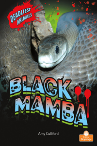 Black Mamba