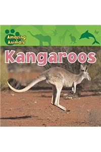 Kangaroos
