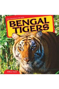 Bengal Tigers