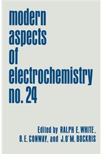 Modern Aspects of Electrochemistry: Volume 24