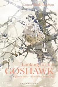 Looking for the Goshawk