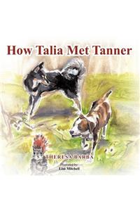 How Talia Met Tanner