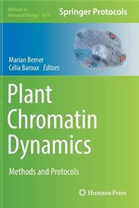 Plant Chromatin Dynamics