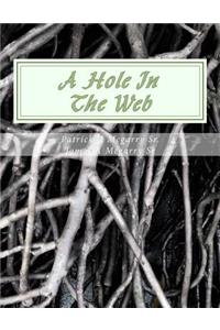 Hole In The Web