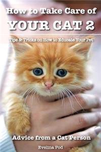 How to Take Care of Your Cat 2