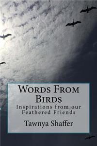 Words From Birds: Inspirations from our Feathered Friends