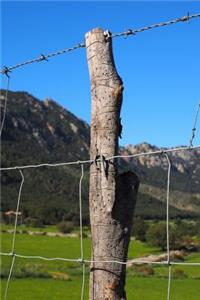 Barbed Wire Fence on the Range Journal