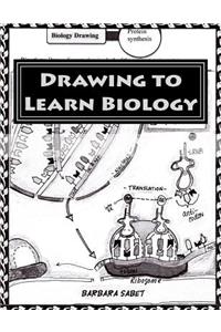 Drawing to Learn Biology