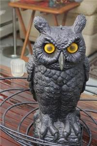Owl Picnic Journal