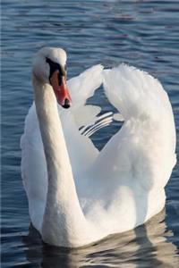 Elegant White Swan Gliding on a Blue Lake Water Bird Journal