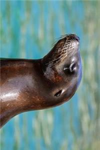 Hello There Cute Sea Lion Marine Animal Journal