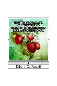 How to Propagate, Cultivate and Harvest Strawberries Like a Professional