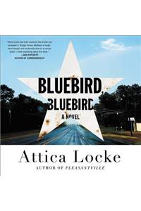 Bluebird, Bluebird Lib/E