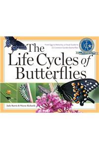 The Life Cycles of Butterflies