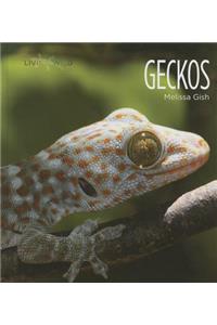 Geckos
