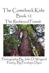 Comeback Kids, Book 12, the Redwood Forest