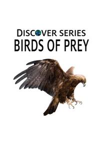 Birds of Prey