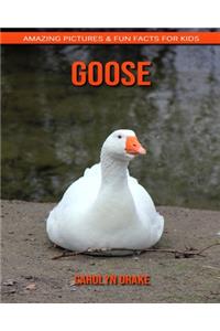Goose