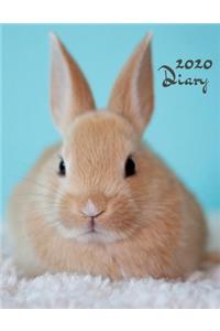 2020 Diary