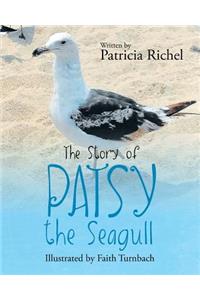 The Story of Patsy the Seagull