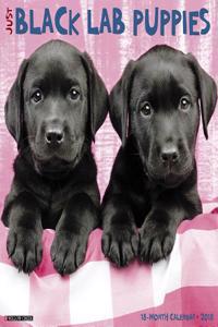 Just Black Lab Puppies 2018 Wall Calendar (Dog Breed Calenda