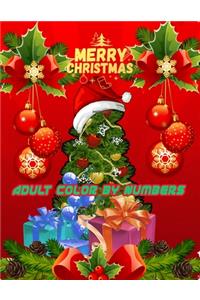 Merry Christmas Adult Color By Numbers