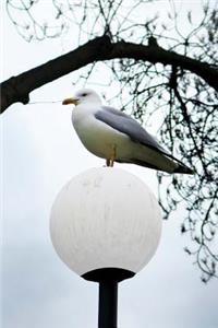 Seagull on a Lamp Post journal