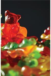 The Hacker-Proof Internet Address Password Book - Jelly Bears