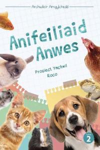 Cyfres Archwilio'r Amgylchedd: Anifeiliaid Anwes