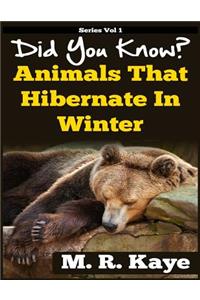 Did You Know? Animals That Hibernate In Winter