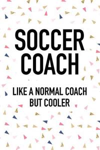Soccer Coach Like a Normal Coach But Cooler