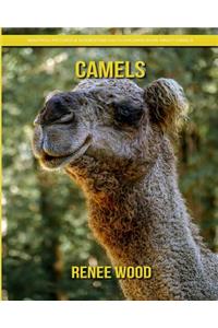 Camels