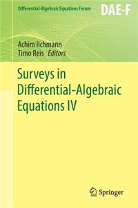 Surveys in Differential-Algebraic Equations IV