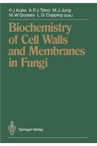 Biochemistry of Cell Walls and Membranes in Fungi