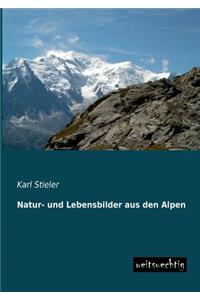 Natur- Und Lebensbilder Aus Den Alpen