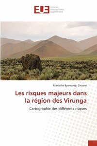 Les risques majeurs dans la région des Virunga