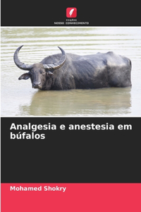 Analgesia e anestesia em búfalos