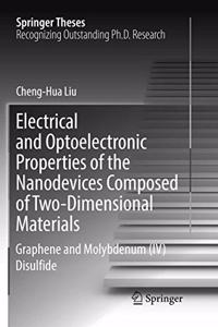 Electrical and Optoelectronic Properties of the Nanodevices Composed of Two-Dimensional Materials