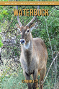 Waterbuck
