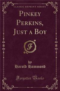 Pinkey Perkins, Just a Boy (Classic Reprint)