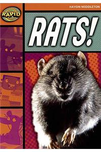 Rapid Reading: Rats! (Stage 4, Level 4B)
