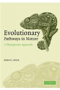 Evolutionary Pathways in Nature